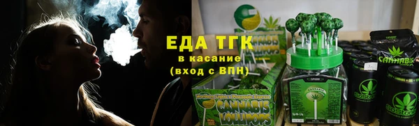 крисы Абаза