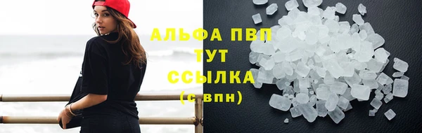 крисы Абаза