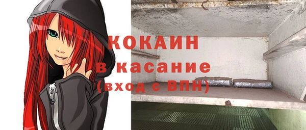 стафф Алексин