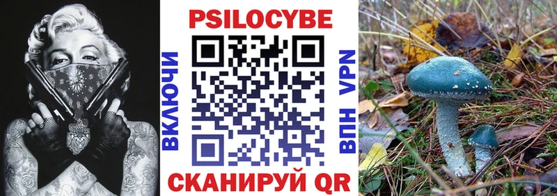 закладки Новое Девяткино hydra ONION Псилоцибиновые грибы Cubensis